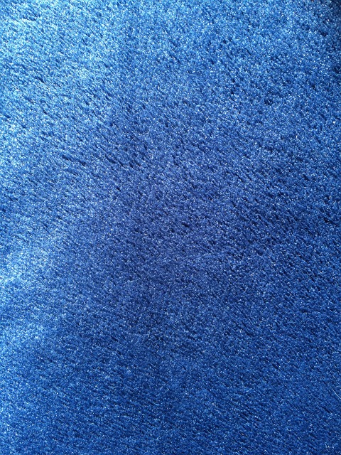 modrý koberec